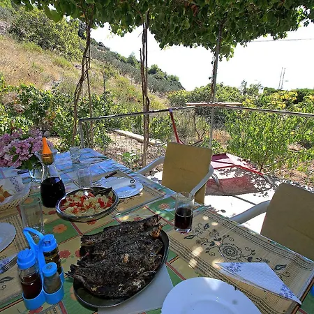Secluded Fisherman's Cove Velo Zvirje, Brac - 11034 Feriehus *